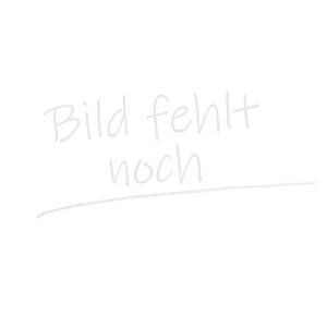 Baubeginn Dachsanierung Halle 1 Schmiedeberger Gießerei